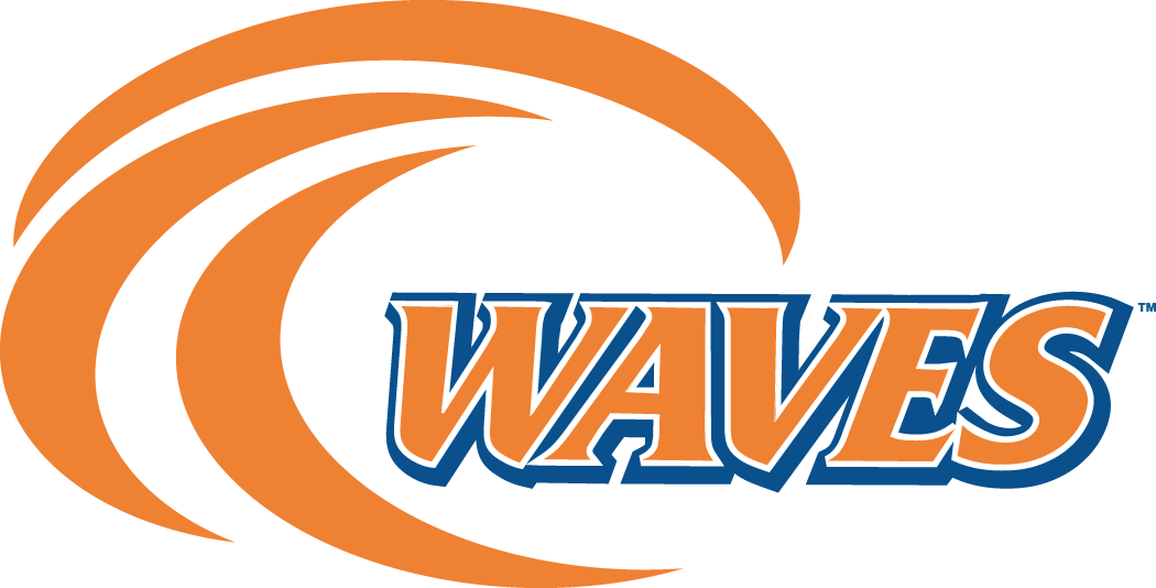 Pepperdine Waves 2004-Pres Alternate Logo diy DTF decal sticker